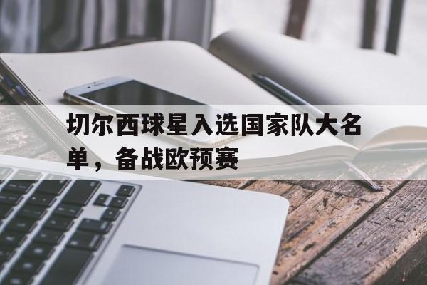 切尔西球星入选国家队大名单，备战欧预赛的简单介绍